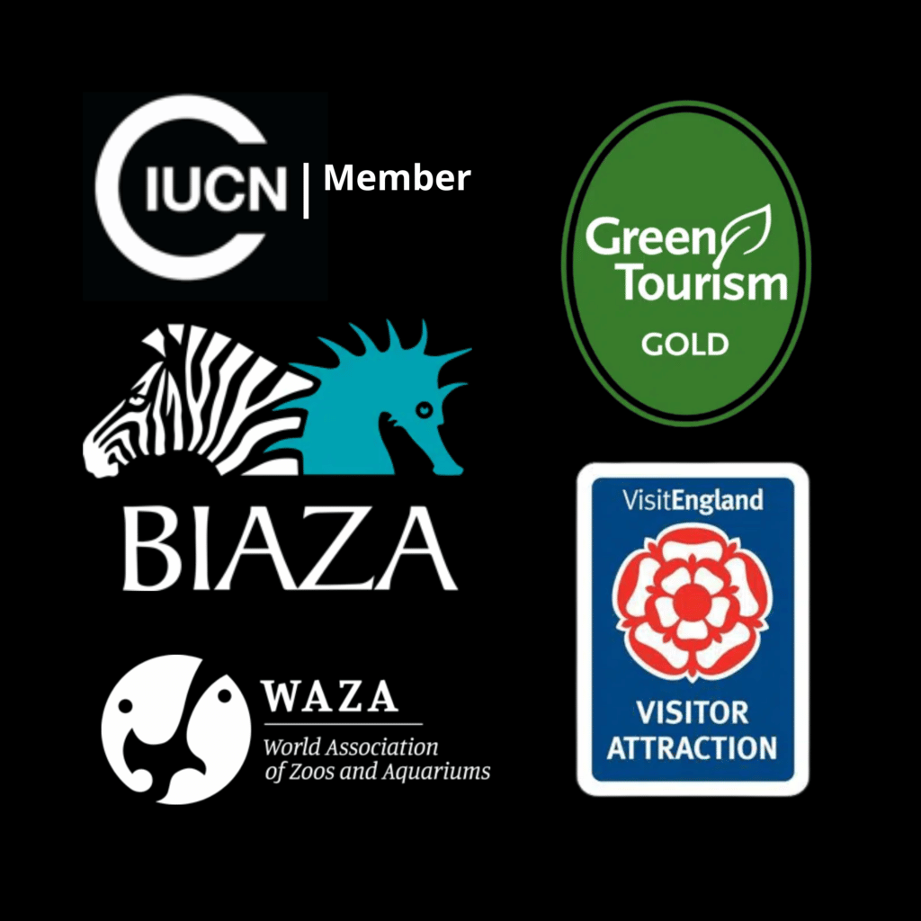 Dartmoor Zoological Society