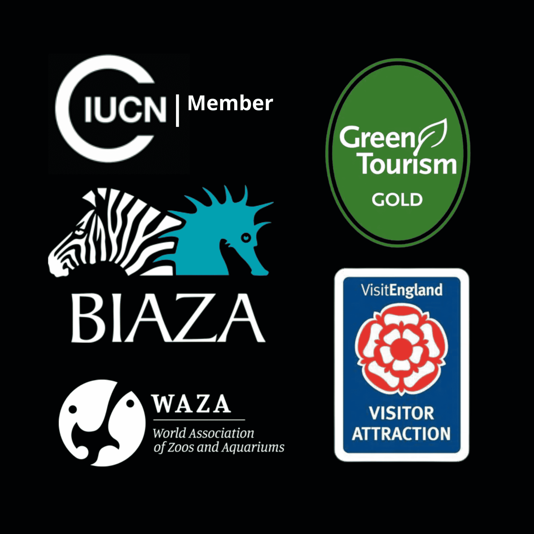 Kelly Foster And Dartmoor Zoo: A Conservation Powerhouse - edxoqtb