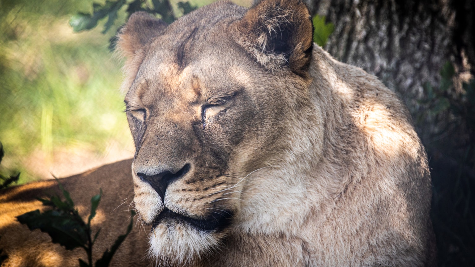 Your visit Dartmoor Zoo