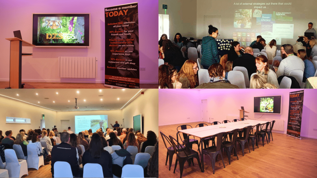 Corporate event venue space Dartmoor Zoo