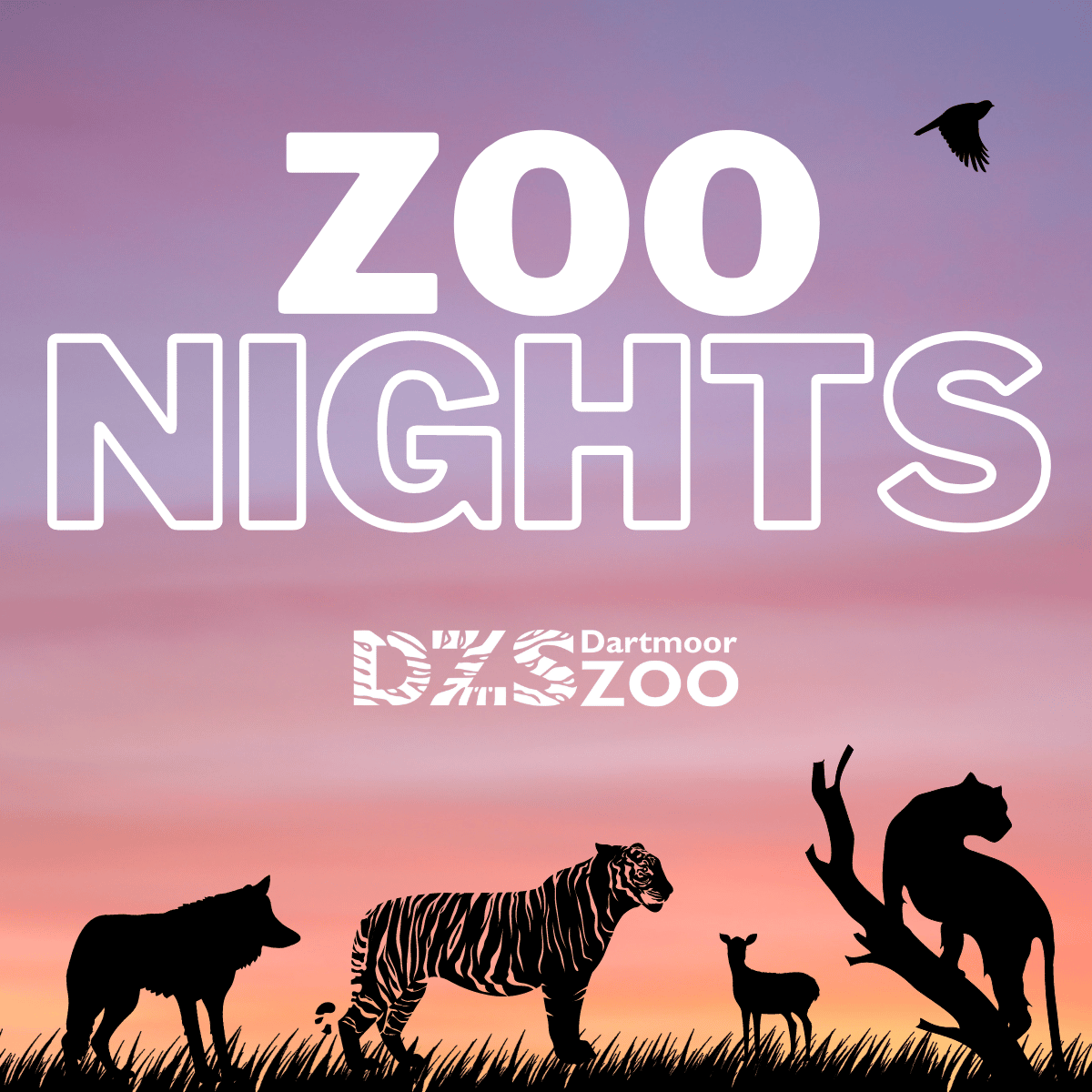 zoo nights