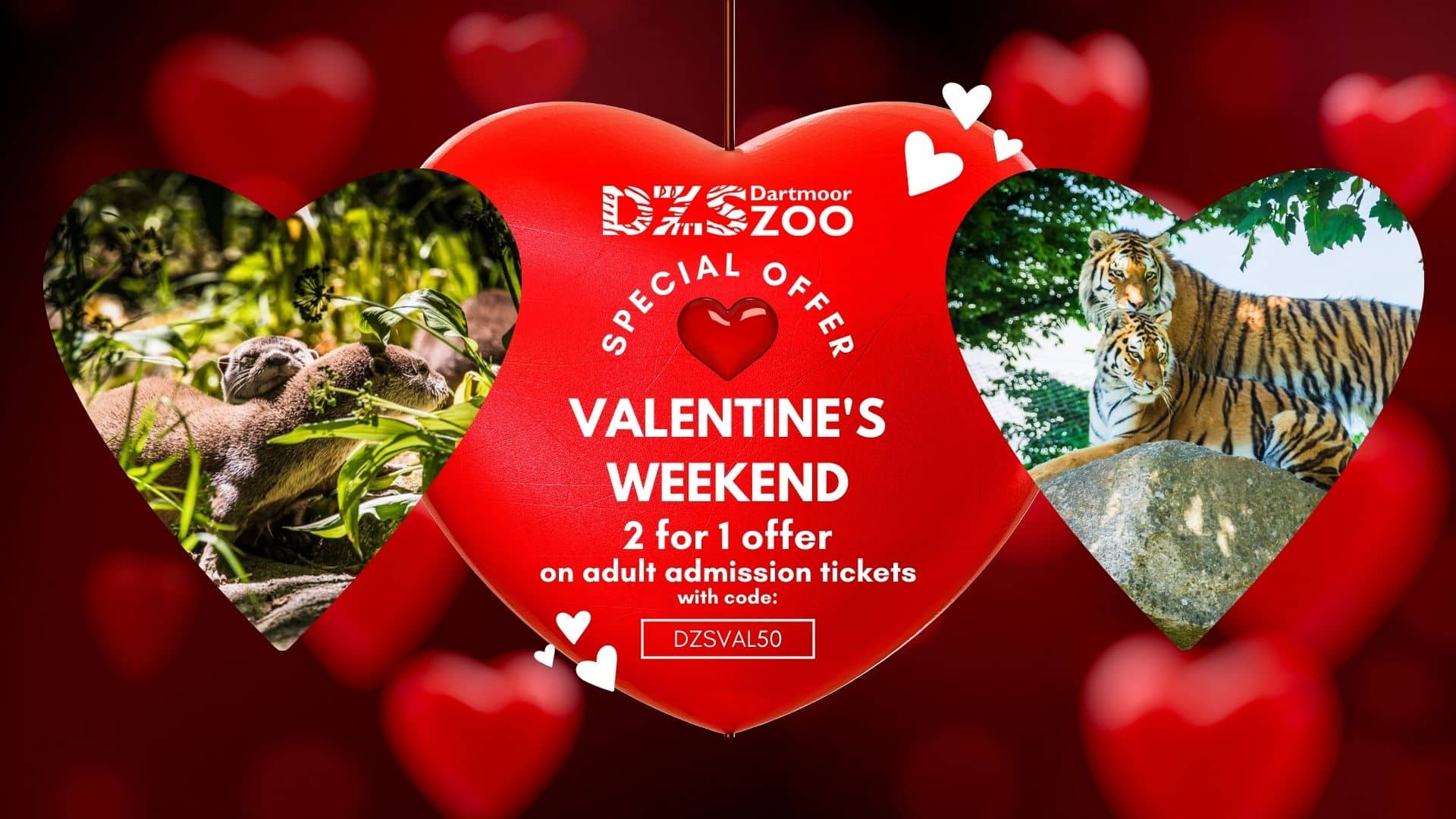 Go wild for our Valentine’s 2 for 1 offer!