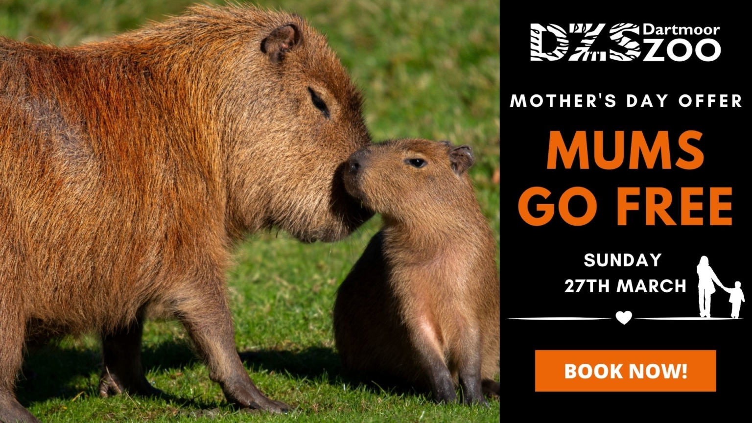 Celebrate Mother's Day with free tickets! SOLD OUT! Dartmoor Zoo