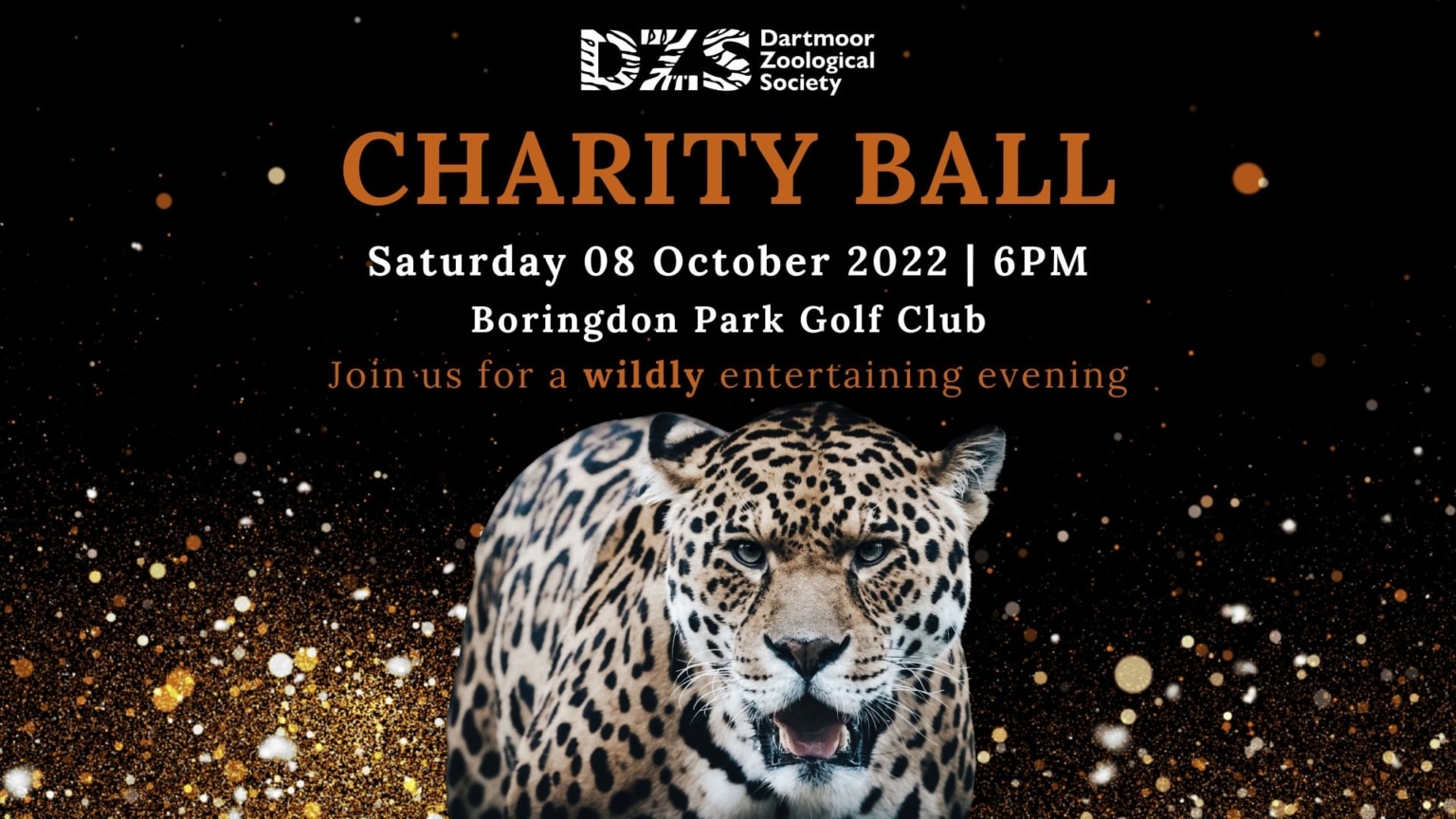DZS Charity Ball 2022 Dartmoor Zoo
