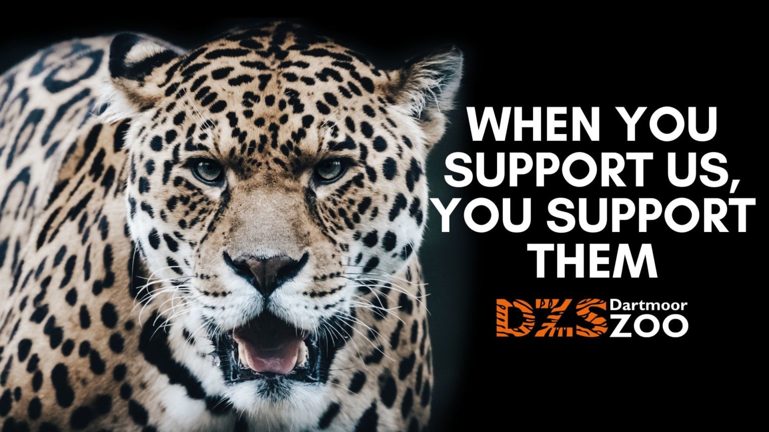 Join the fight to prevent extinction and support Dartmoor Zoological