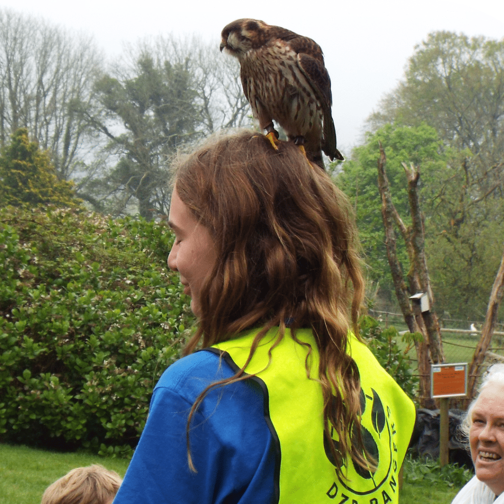 Events calendar Dartmoor Zoo