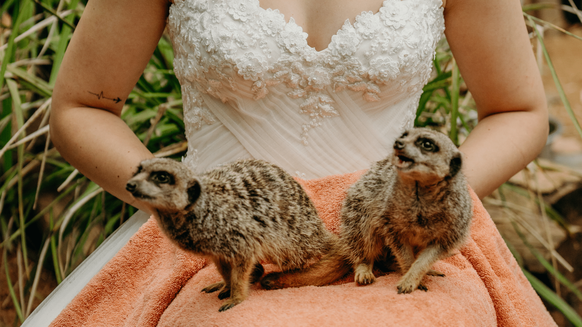Animal-Inclusive Weddings: Embrace Love and Nature with our Animal Ambassadors
