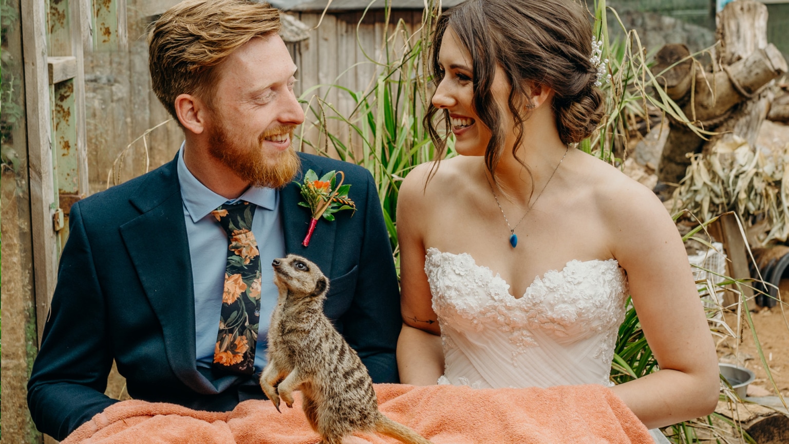 Unique Wedding Experiences at Dartmoor Zoo