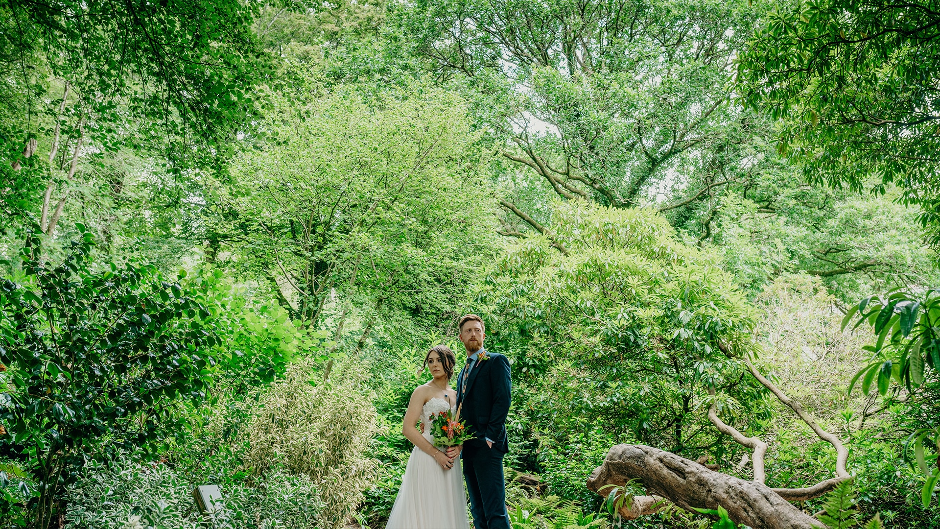 A Wild Beginning: A Unique Wedding in Devon at Dartmoor Zoo