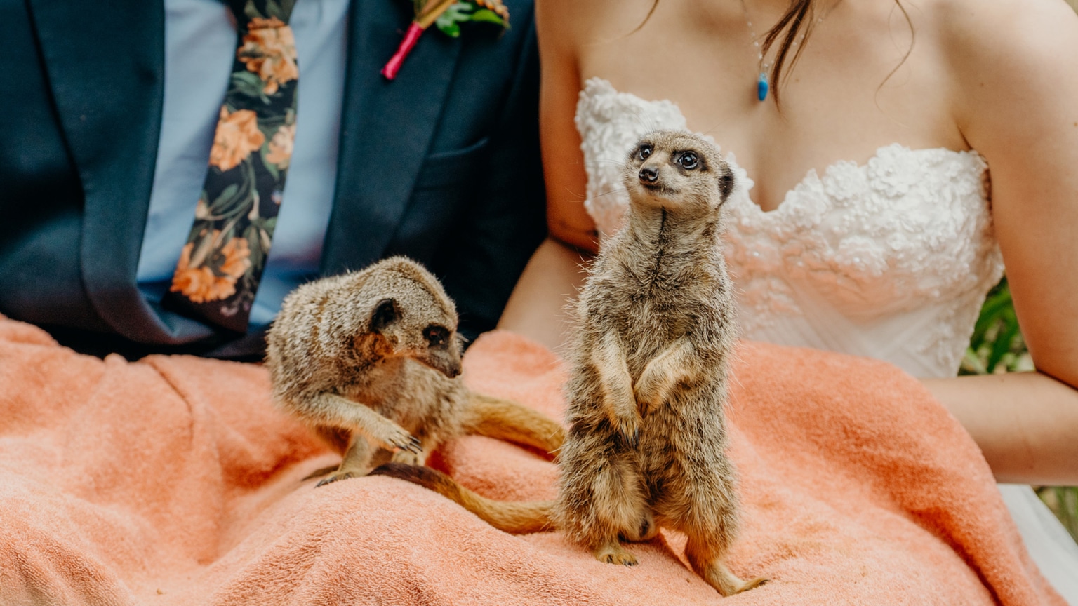 wildlife inspired wedding at Zoo Weddings