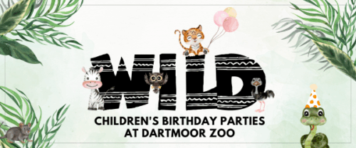 Wild Dartmoor Zoo birthday party