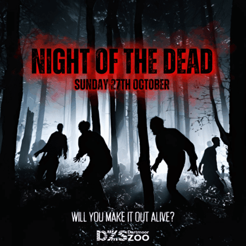 Halloween events Dartmoor Zoo